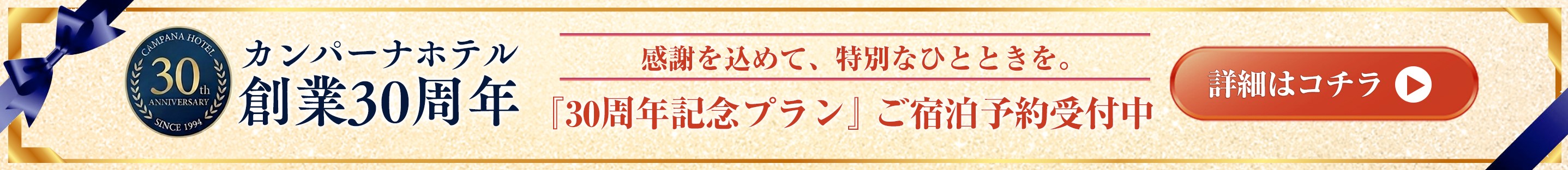 創業30周年記念プラン